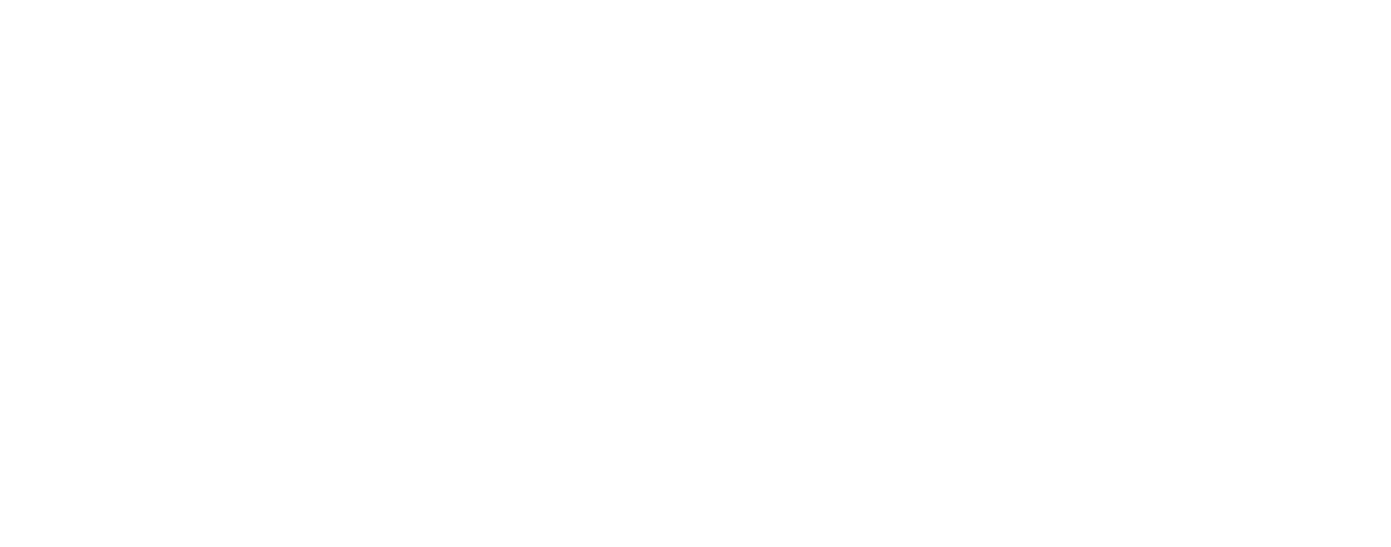 Cheetah Networks logo [white]
