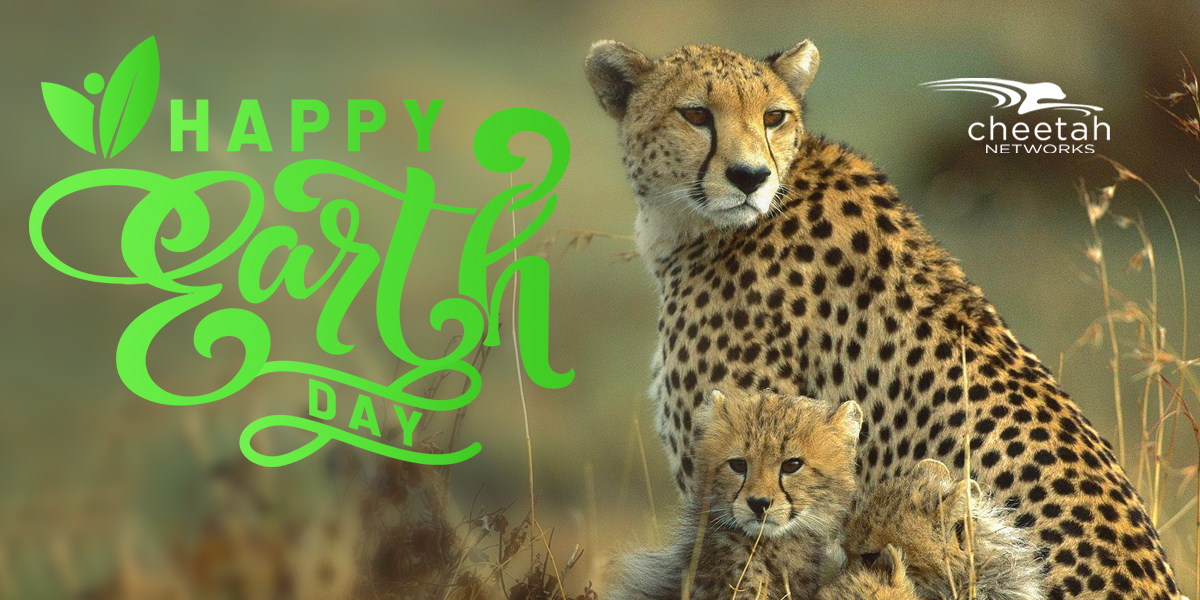 Earth Day Cheetah thumbnail